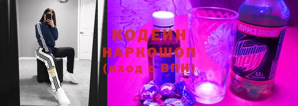 круглые Гусев