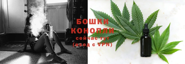 дживик Горняк