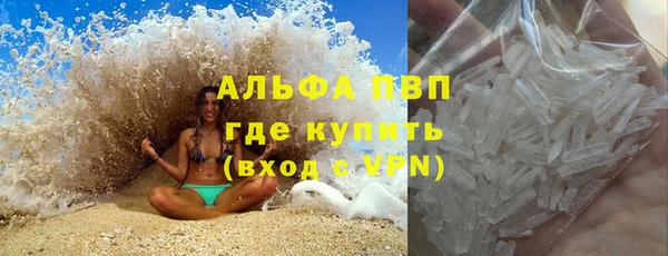 круглые Гусев