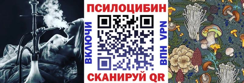 Галлюциногенные грибы Psilocybine cubensis  Купить где  Лабинск 